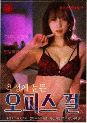 剧集分类索引卡片 回声档案